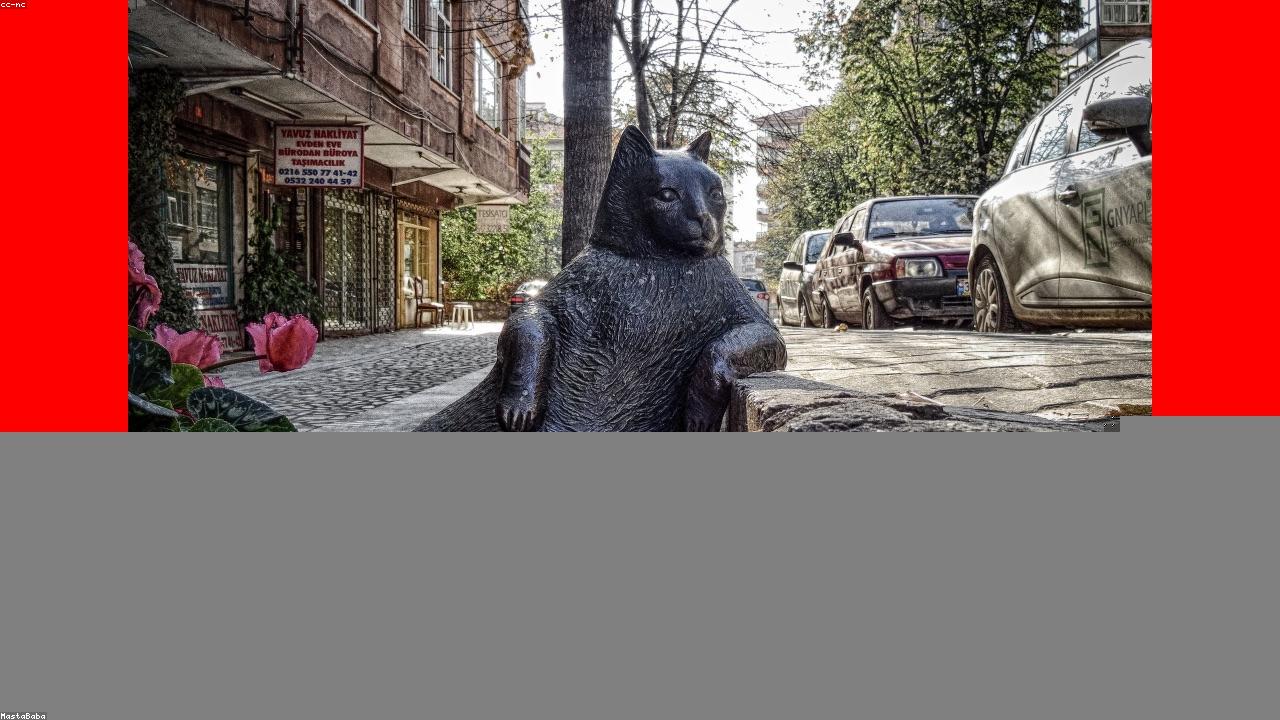 欧亿体育官网｜艾维：爱德华兹恐同就不会被裁，一切都是关于钱！（封面配图）